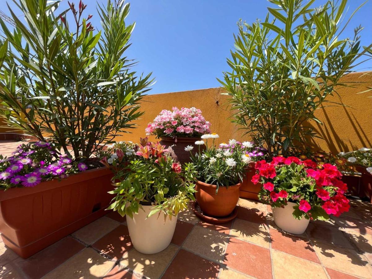 Casa Yvona